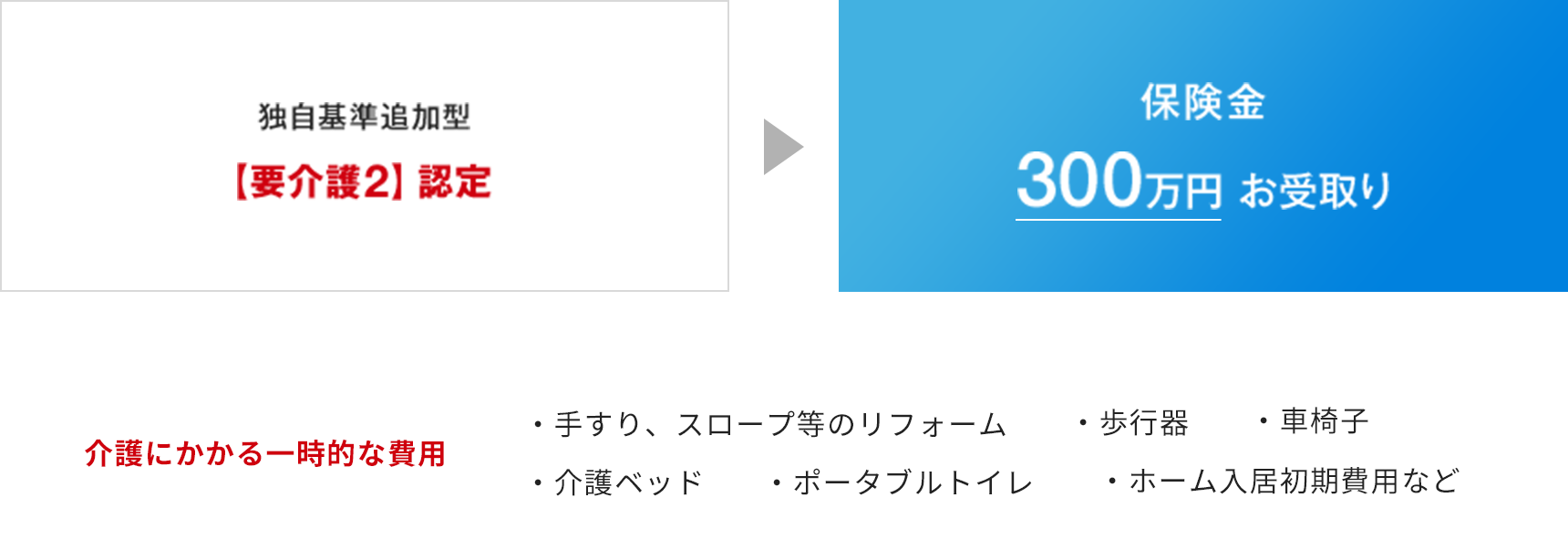 独自基準追加型※【要介護2】でお受取り〈300万円コース加入のお支払い例〉